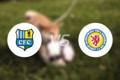 开姆尼茨U19vs布伦瑞克U19比分预测【2026/02/22】