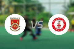 斯托桥vs瑞迪契比分预测【2026/01/24】