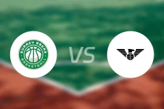 萨里89人vs纽卡斯尔比分预测【2025/12/31】