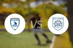 卡瓦拉vs吉安尼纳比分预测【2026/01/17】