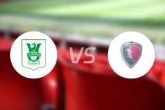 奥林比查女足vsZNK卢布尔女足比分预测【2025/11/16】