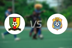 喀麦隆vs民主刚果比分预测【2025/11/14】