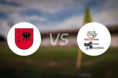 威廉港vs维丹比分预测【2025/11/30】