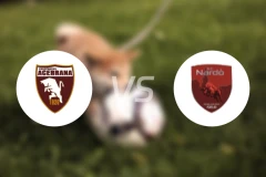 阿塞拉那vs纳尔多比分预测【2026/03/15】