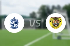 向前流浪者vs猛虎比分预测【2025/11/26】