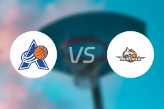 阿玛格vs哥本哈根狼队比分预测【2026/01/10】