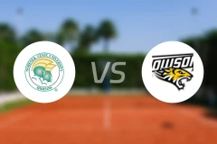 诺佛克州立大学vs陶森大学比分预测【2025/11/15】