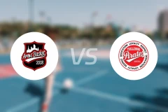 阿罗斯vs特雷勒堡比分预测【2026/02/15】