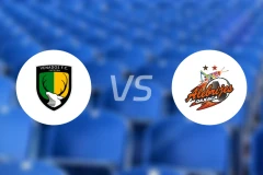 鹿队vs阿莱布里赫比分预测【2026/02/07】