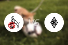 科隆vs门兴比分预测【2026/03/21】