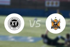 皮拉西卡巴vs诺瓦伊古亚科比分预测【2026/04/05】