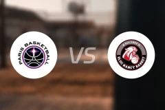 巴黎vs南锡比分预测【2026/02/08】