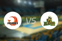 湖北文旅vs上海玄鸟录像回放【2026/02/22】