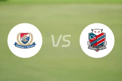 横滨水手vs札幌冈萨多比分预测【2024/09/04】