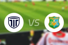 枥木市FCvs八户于南乡比分预测【2025/10/25】