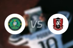 安山小绿人vs富川FC比分预测【2024/10/26】