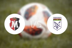 马杰斯蒂克FCvsAS瓦加杜古比分预测【2025/12/11】