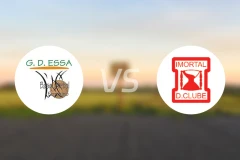 巴雷鲁女篮vs伊默塔尔女篮比分预测【2025/12/29】