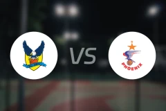 锡比乌vs加拉茨凤凰比分预测【2025/11/14】