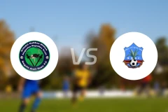 内格莱阿西vs沃莱塔迪查比分预测【2026/01/16】