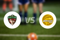 特拉斯卡拉vs黄金河虎比分预测【2026/04/04】