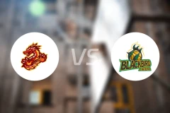 贵州猛龙vs上海玄鸟录像回放【2026/03/08】