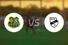 萨尔布吕肯vsSC维尔比分预测【2025/10/18】