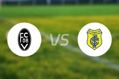 威灵根vs辛根比分预测【2025/11/15】