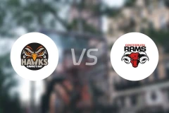 泰莱之鹰vs坎特伯雷公羊比分结果战报【2026/04/23】