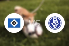 汉堡二队vsSV不莱梅比分预测【2026/02/22】