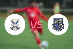利马瓦迪vs阿尔马城比分预测【2024/09/07】
