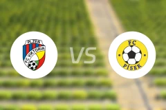 比尔森胜利B队vs皮斯克比分预测【2025/11/16】