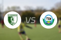 波德鲁姆vs塞里克比分预测【2026/02/01】