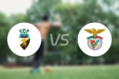 法鲁人vs本菲卡B队比分预测【2025/11/02】