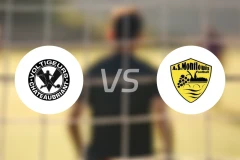 福格斯vs蒙特路易斯比分预测【2026/01/11】