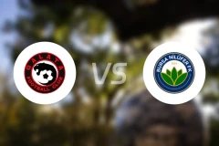 加拉塔vs尼路费比分预测【2026/02/15】