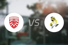 杜布罗尼克vs福尼尔比分预测【2025/12/06】