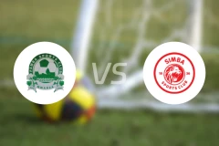 帕姆巴vs辛巴体育比分预测【2026/03/19】