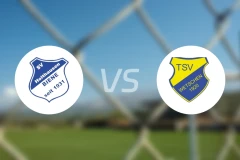 霍尔特豪森蜜蜂vs韦特申比分预测【2025/11/30】