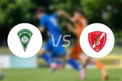 维拉文特vs托瑞琼恩CF比分预测【2025/10/19】