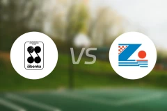 希别尼克vs扎达尔比分预测【2025/11/04】