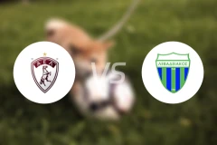 拉里萨vs莱瓦贾科斯比分预测【2025/11/02】