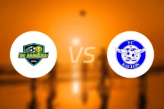 博游骑兵vsFC卡隆比分预测【2025/12/14】