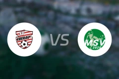 SV埃伯奥vs马特斯堡体育俱乐部 2020比分预测【2026/04/05】