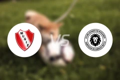 穆尼斯vs罗萨里奥雄狮比分预测【2026/04/14】