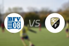 比绍夫斯伟达FVvs弗里塔尔比分预测【2026/02/14】