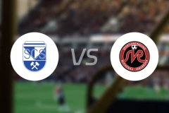 施瓦兹vs莱歇瑙比分预测【2024/09/28】