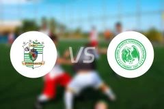 达姆布雷维塔vs康戈迪亚齐安比分预测【2026/03/14】