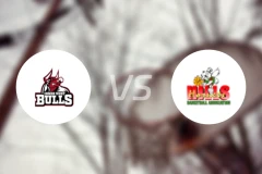 内西公牛女篮vs希尔斯黄蜂女篮比分预测【2026/03/28】