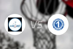 梅赫伦女篮vsDS瓦勒海姆女篮比分预测【2025/12/21】